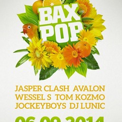 Tom Kozmo @ Baxpop 2014 (September 6, 2014)