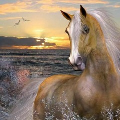 my horse song!!!.wav