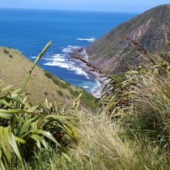 Sanctuary to Sea