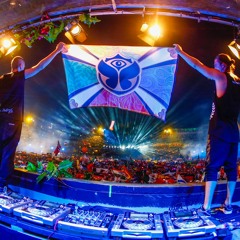 Dimitri Vegas & Like Mike @ Mainstage, Tomorrowland 2014