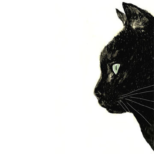�������� �� ������� black and white cat artwork