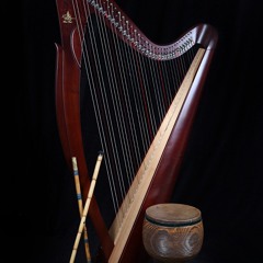 Helale (Instrumental), Harp & Nay & Percussion....هەڵاڵە