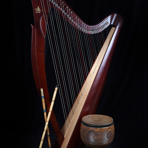 Harp percussion 2024