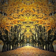 Tanel Maandi & JamAria - Nothing In The Past