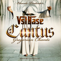 Cantus vst converter