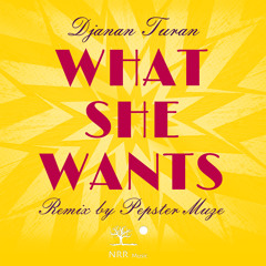 What She Wants DJ Pepster Muze Remix