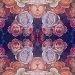 Shades ft TasK (Ackryte Instrumental)