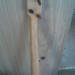 Tarantula sound byte at The porch