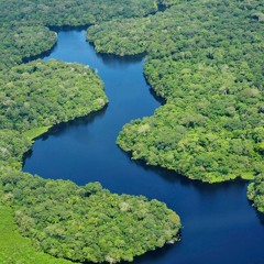 Standing Butt Ass Naked With Erect Nipples In A Brazilian Rainforest By DJ Platano Shwagg