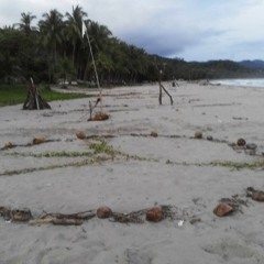 With Service of love and golden light to the most deepest and the most high.Om Shalom.*.  at Playa Samara Costa Rica
