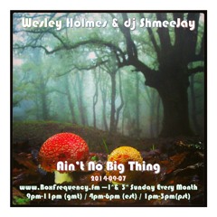 Wesley Holmes & dj ShmeeJay - Ain't No Big Thing - 2014-09-07