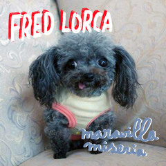 MARAVILLA MISERIA - FRED LORCA