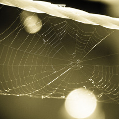 Trouble (Coldplay) - cover