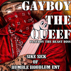 SIKE SICK FIRES SHOTS AT GAYBOY THE QUEEF!! (PLAYBOY THE BEAST DISS)