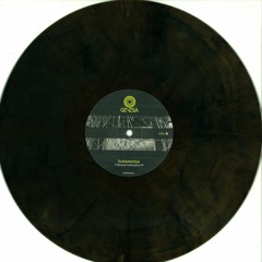 Scalameriya - Fullmetal Cyberspace EP incl. Reeko Remix TEASER [GENESA002V] (2013)