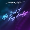 Tommy '86 feat. Sally Shapiro - Why Did I Say Goodbye