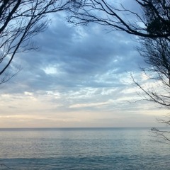 Im blue (octive lower version)