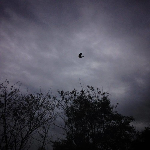 [07 09 14] Strange Day with TPSM 4th (2014) : ฝน (rainy day)