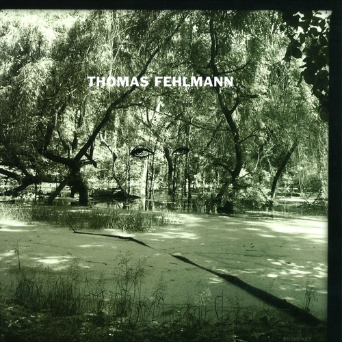 Thomas Fehlmann - Tree (Original mix)