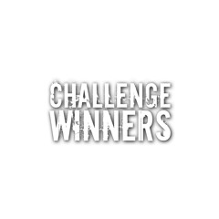 Figure Challenge Winners!