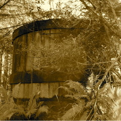 Another Emblem There!