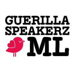 Mysteryland NL 2014 | Resist | Guerilla Speakerz