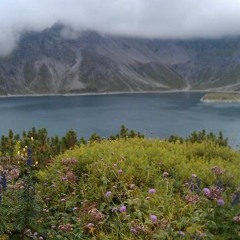 Little Impression VII.