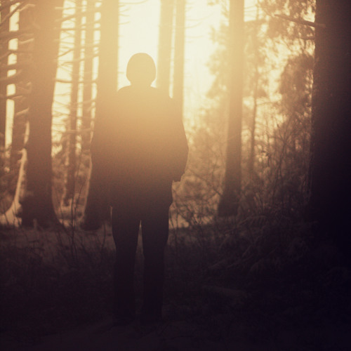 radiation belts surrounding