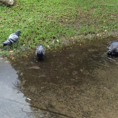 ขอเพียงส่งเสียงมา... อินมาก "ด้วยรักและผูกพัน"