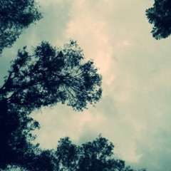 El Líbido De Un Escritor BulCkan1uno (Prod.LM/The lost best)