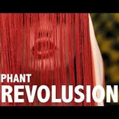 Elliphant - Revolusion (Andy P Remix)