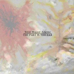 Circle Of Souls by Stret Majest Alarme