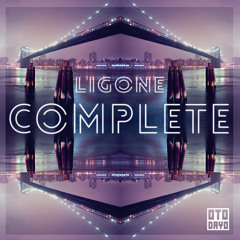 LigOne - Complete
