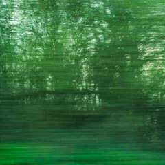 Escapade/Valse hésitation