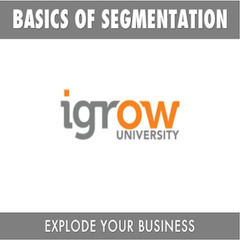 iGrow University - Introduction To The Basics Of Segmentation