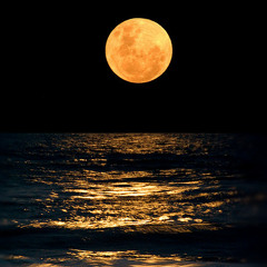 Dentre Outros Paralelos - Mundo Da Lua (Prod. Yuri.rec/DK)