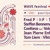 Artwork for Anomaly @ Wave Festival, Amsterdam - 16 - 08 - 2014