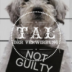 Audio Is Guilty @ Tal Der Verwirrung Sommerfest 2014 - #003