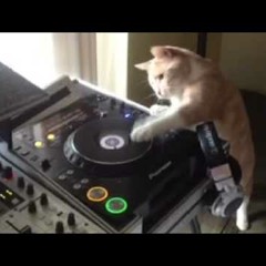 Grime Reloads