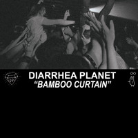 Diarrhea Planet - Bamboo Curtain