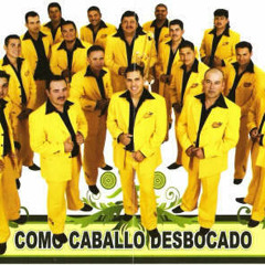BANDA LOS NUEVOS SANTA ROSA EN LA TABERNA DEL PACIFICO DJ MAPPY