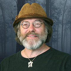 Paul Stammets  - How Mushrooms Can Help Save the World