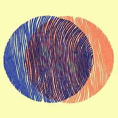 2013 De Karrekiet Van Karrakas