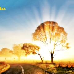 Sunrise (Original Mix)