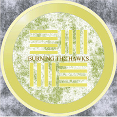 Burning The Hawks - Pretty Silly