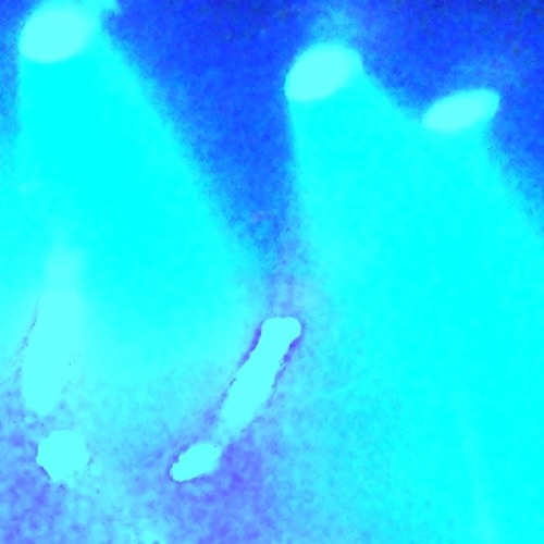 Glide 【Now That's What I Call /mu/sic: Dreampop​/​Shoegaze Vol​.​1 】