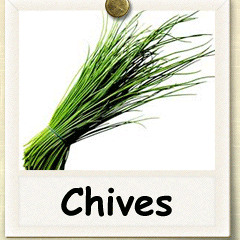 CHIVE PARTY