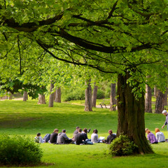 VETJA TEK TE TJERET- recited by author Traboini
