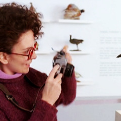 Disparate Youth (Cover)