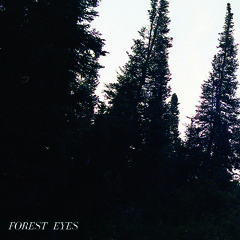 Forest Eyes
